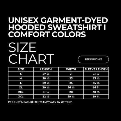 Big Book Energy Garment-Dyed Lightweight Hoodie Spinsterly Co in black with typewriter style centered graphic