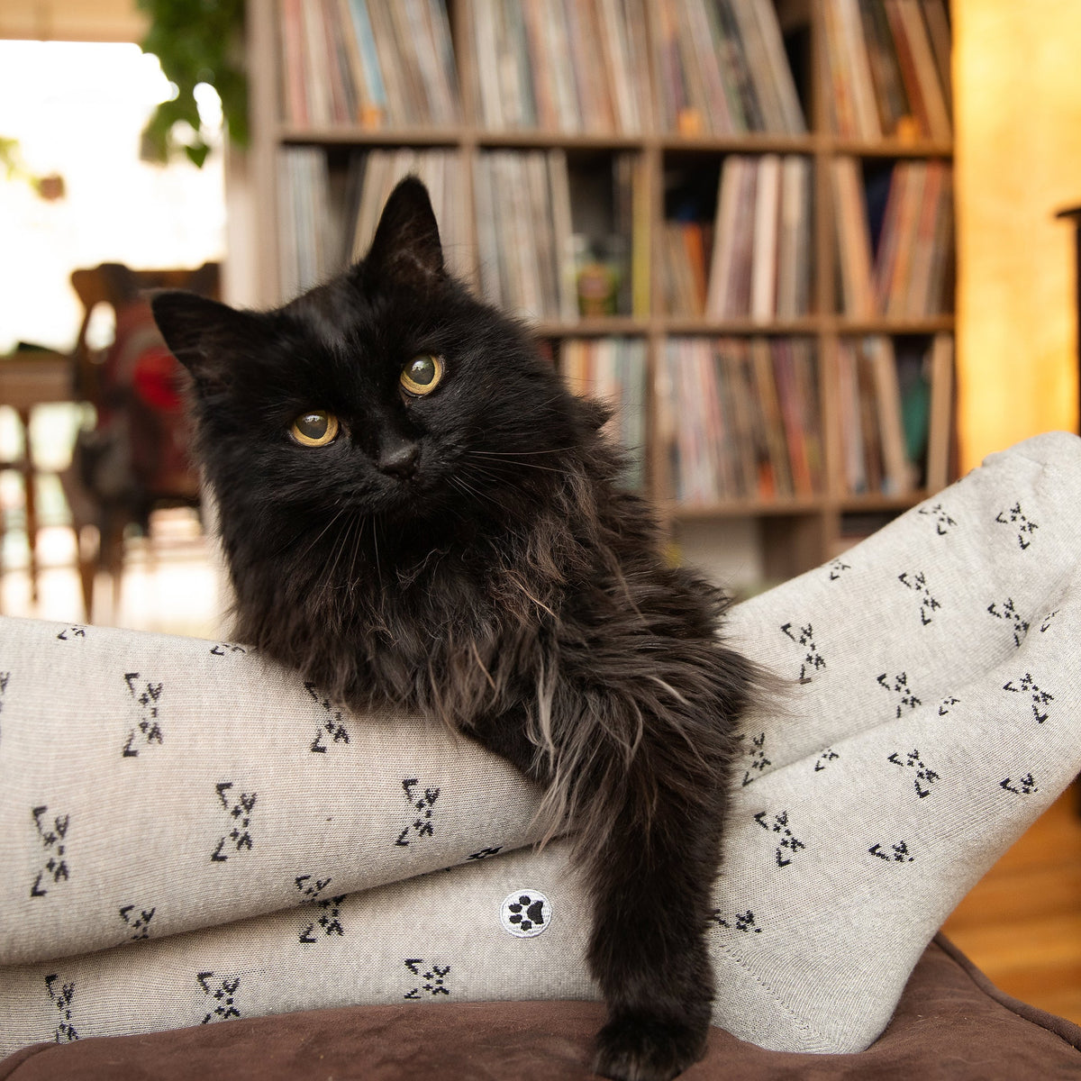 Socks that Save Cats — Cat Face Crew Socks | Heather Grey | Cat Lover Gift | Organic Cotton - Spinsterly Co
