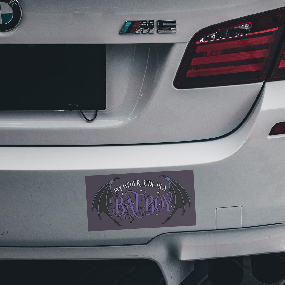 Romantasy Bumper Sticker | My Other Ride Is a Batboy
