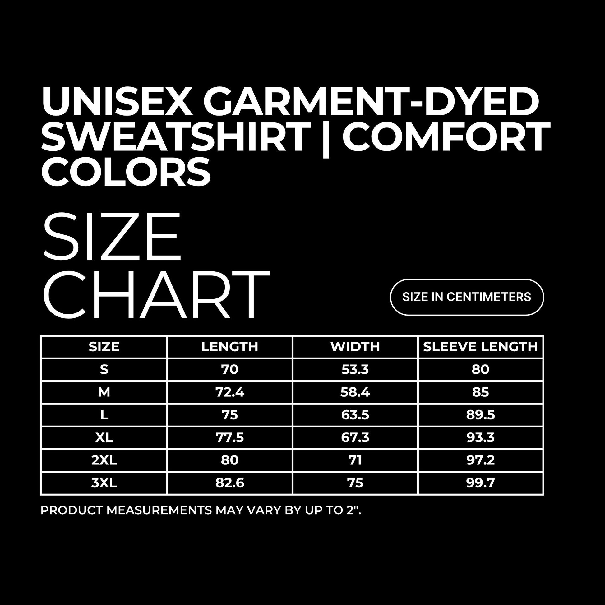 Big Book Energy Garment-Dyed Lightweight Hoodie Spinsterly Co black with typewriter-style serif graphic