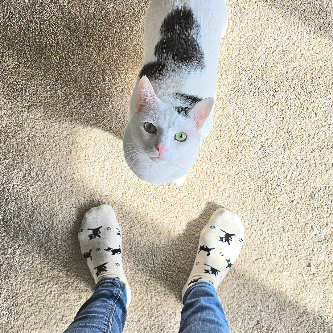 Socks that Save Cats — Black Cat Silhouette Crew Socks | Cream | Cat Lover Gift | Organic Cotton - Spinsterly Co