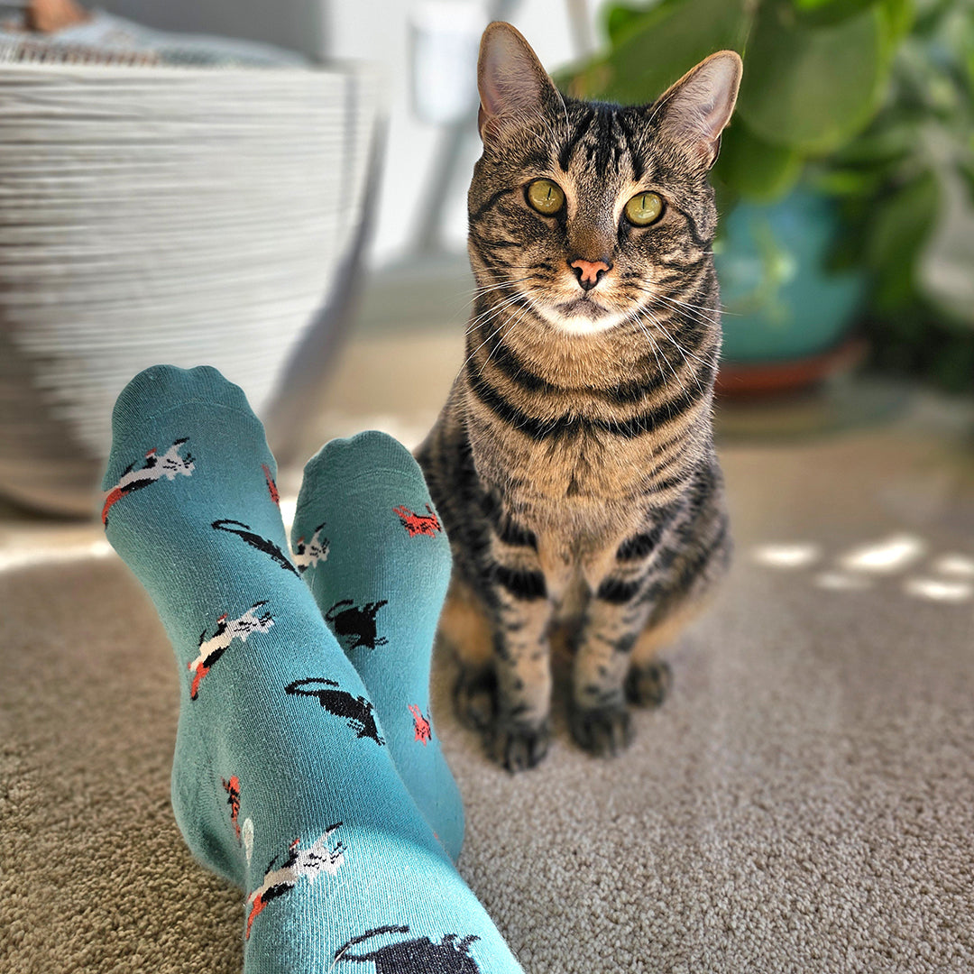 Socks that Save Cats — Frisky Cat Crew Socks | Teal | Cat Lover Gift | Organic Cotton - Spinsterly Co