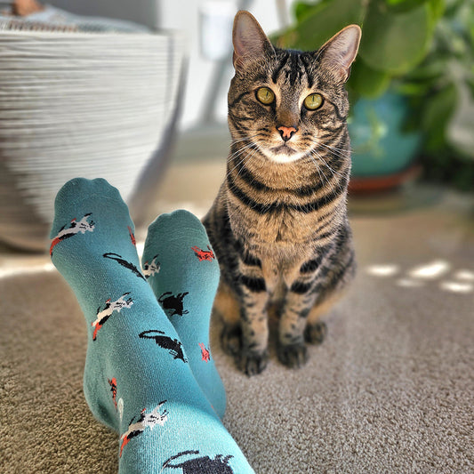 Socks that Save Cats — Frisky Cat Crew Socks | Teal | Cat Lover Gift | Organic Cotton - Spinsterly Co