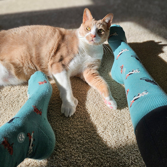 Socks that Save Cats — Frisky Cat Crew Socks | Teal | Cat Lover Gift | Organic Cotton - Spinsterly Co