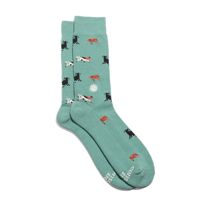 Socks that Save Cats — Frisky Cat Crew Socks | Teal | Cat Lover Gift | Organic Cotton - Spinsterly Co